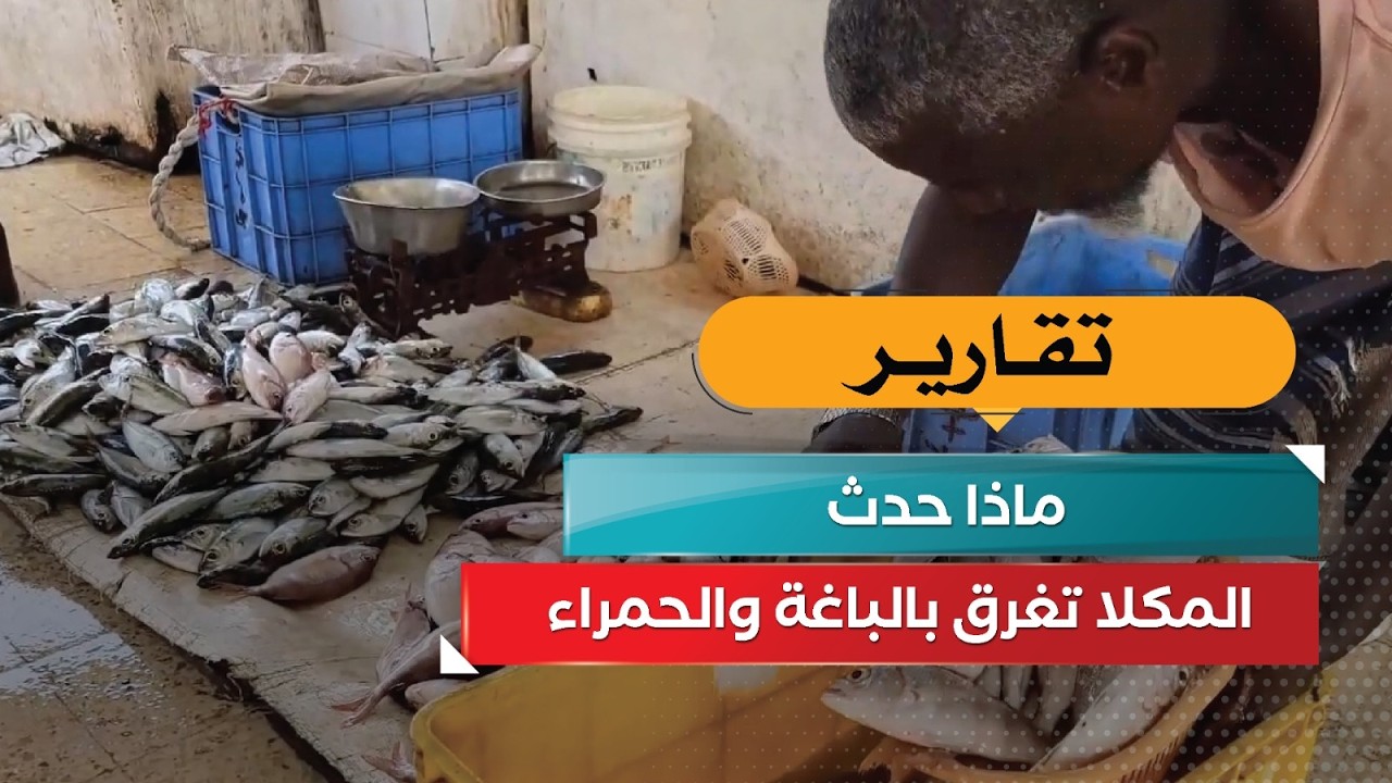 قناة السعيدة