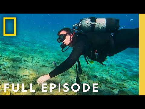 Uncovering Atlantis (Full Episode) | Lost Treasures of Ancient Civilizations | National Geographic