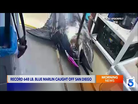 Southern California fisherman hooks record-setting 648-pound blue marlin