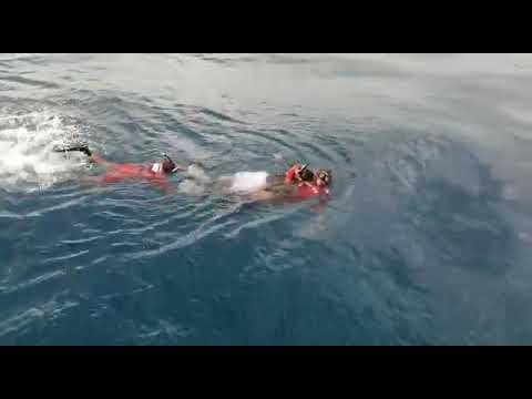 La Secretaría de Marina - Armada de México rescata a una persona en inmediaciones de Isla Cozumel