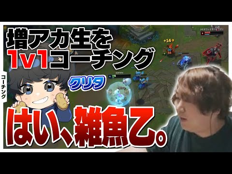 コーチング中に教え子を普通に煽りだすしゃるる講師 [オリアナ/ビクター/LoL]