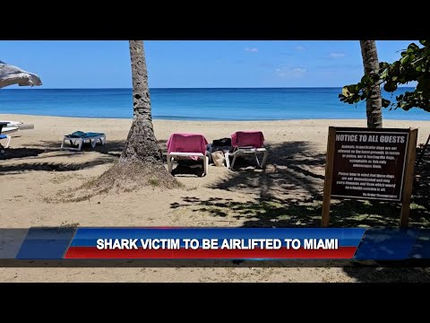 Shark Victim Update