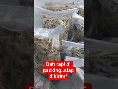 #jualanonline #ikanteri #aktifitasiburumahtangga #terimedan