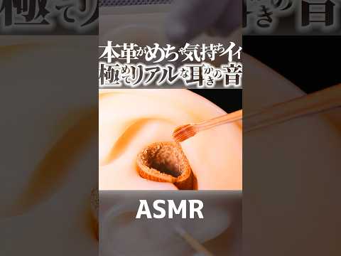 【ASMR】極めてリアルなやさしい耳かきの音👂本革モケモケの裏起毛の耳穴を竹耳かきと梵天で気持ち良く耳掃除する最も本物に近い耳掃除の音フェチ😂両耳同時の高音圧🎧音質改良版🤤睡眠導入😪 #Shorts
