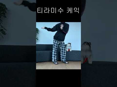 이거 유행 끝났니? (티라미수 케익)