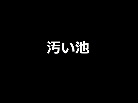 バスが釣れる場所　三重003