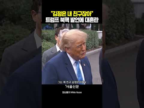 "김정은은 내 친구잖아" 트럼프 북핵 인정 발언에 미국 <strong>대혼란</strong>#shorts