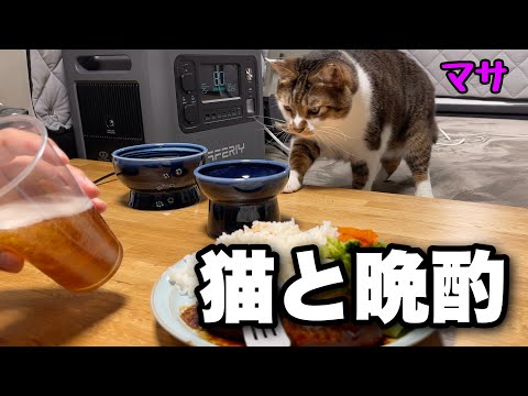 【ハイエース 車中飯】家よりも快適な車内で猫と晩酌！激安なのに使い手のことを考えているポータブル電源が秀逸でした！【AFERIY P210】
