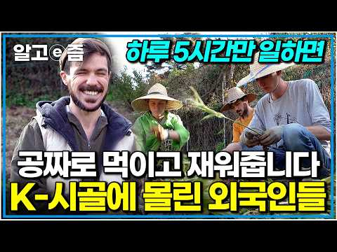 우린 서울도 아닌 시골로 떠났다! 김장하고 농사지으며 한국 시골살이에 푹 빠져버린 외국인들｜한국기행｜알고e즘