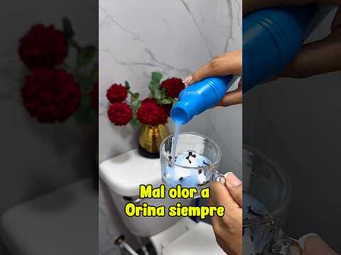 Mal olor a orina siempre