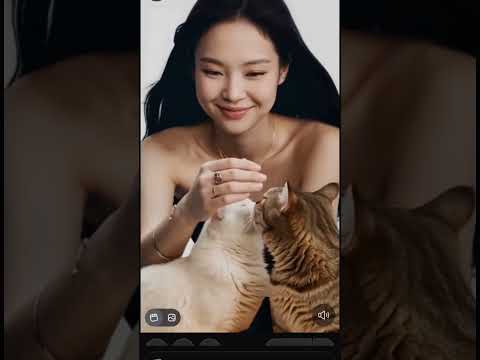 jennie & cat #blackpink #jennie #cat #cats #viral #viralvideos #kpop #kdrama #song #hitsong #hits