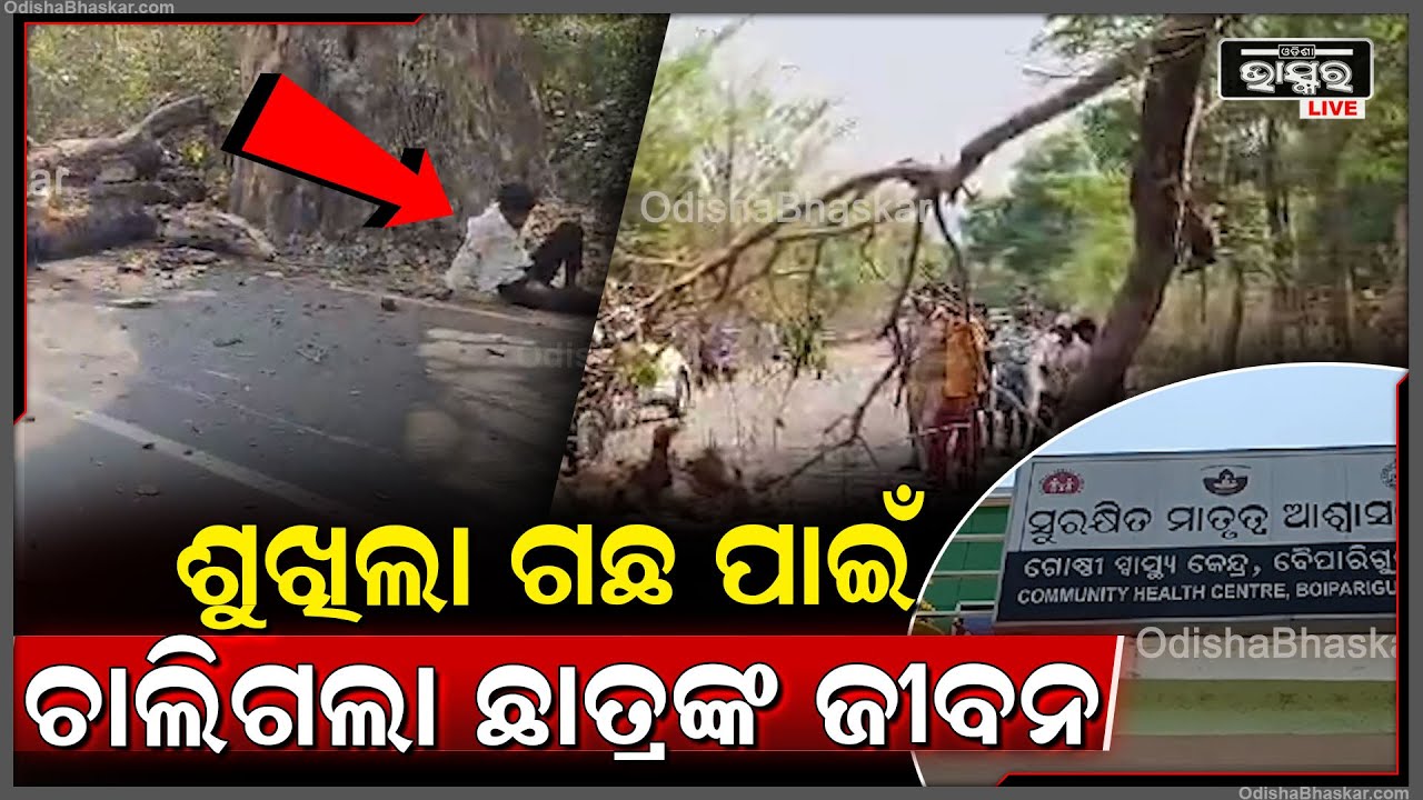 ରାସ୍ତାକଡର ଶୁଖିଲା ଗଛ ପାଇଁ ଚାଲିଗଲା ନିରୀହ ଜୀବନ...୨ ଗୁରୁତର...