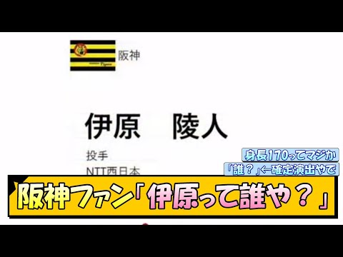 阪神ファン「ドラ1・伊原って誰や？」【なんJ/2ch/5ch/ネット 反応 まとめ/阪神タイガース/ドラフト/藤川球児/伊原陵人】