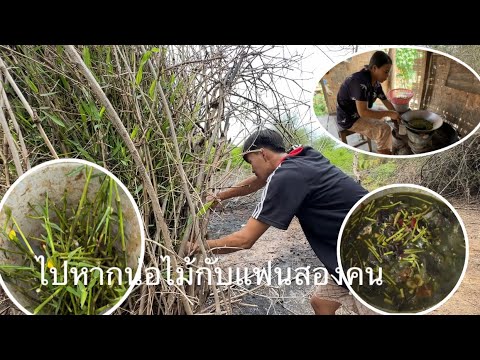 ฝนตกทังคึนเถึงเช้าฝนหยุดตกบ๋อบ