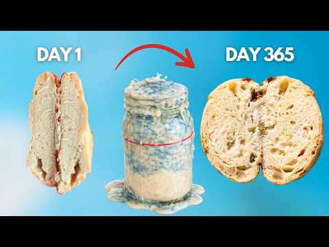 I Spent 1 Year Mastering Sourdough