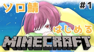【 Minecraft 】# 1 ソロ鯖 ワールド生成から！！【雑談 / 初見さんwelcome 】