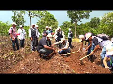 Nicaragua contará con 120 nuevos profesionales de ciencias agrarias