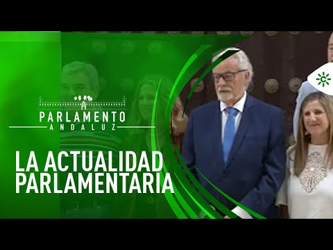 Parlamento andaluz | El Plan Verano de salud y la marcha de la economía