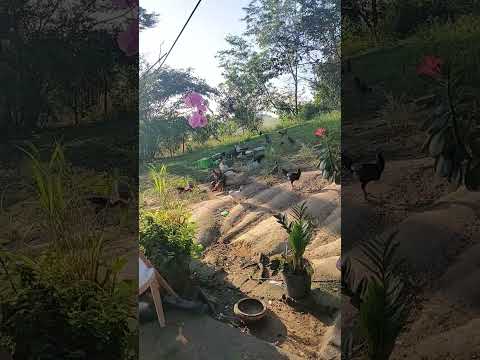 #Bom dia Bom domingo🫡