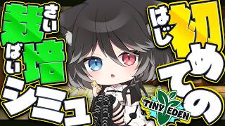 雑談しながら🌱栽培シミュ🔰猫と一緒にのんびり小さな庭園作り【 Tiny Eden / 猫田なつな / Vtuber 】