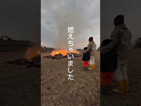 燃えちゃいました……。