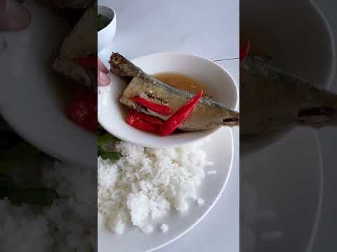 Tập 2: Hành Trình xuyên việt xe máy 1 Mình #xuyênviệt