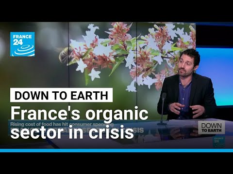 France's organic sector in crisis: Is the end in sight? • FRANCE 24 English