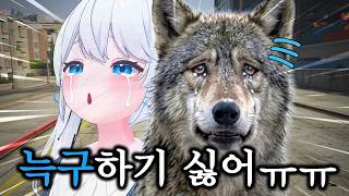 즙나기 이후 최대 오열