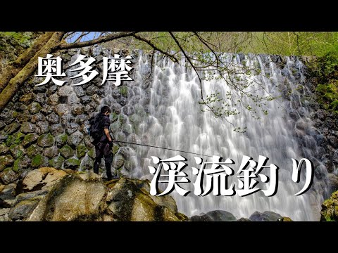 新緑美しい東京の秘境で渓流釣り こんなに美しい○○○に出会った!?
