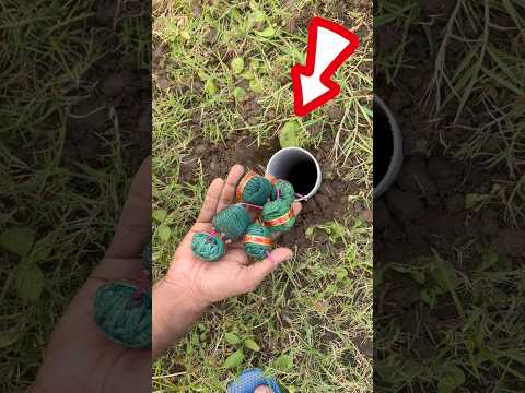 Ye Hole Me Daalte Hi Jo Hua 😱| Must Watch Till End #shorts