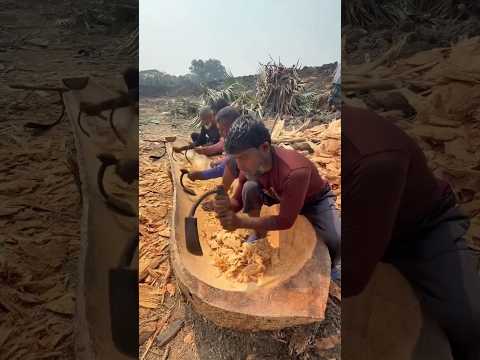 People of Pakistan made a boat out of a Tree.