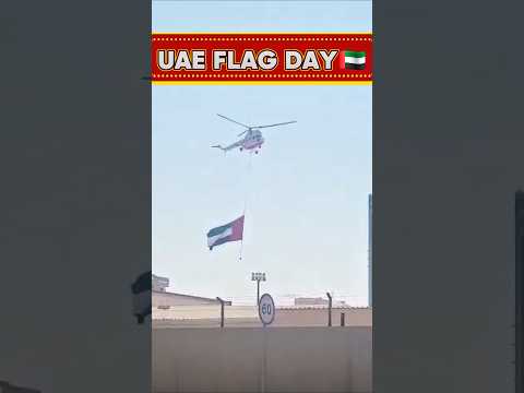 UAE FLAG DAY🇦🇪 #flagday #uae #habibicometodubai #shorts