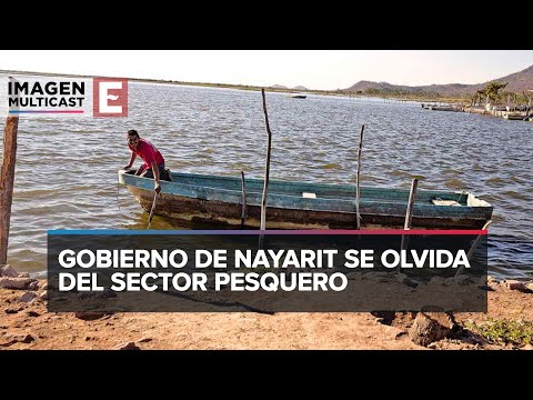 Gobierno de Nayarit se olvida del sector pesquero