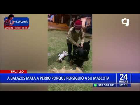 24Horas | Trujillo: sujeto asesinó a cachorro de pitbull a balazos