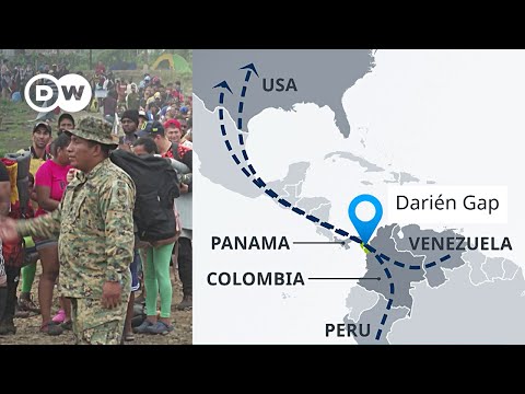 Record half-million migrants crossed the Darien Gap jungle between Colombia and Panama | DW News
