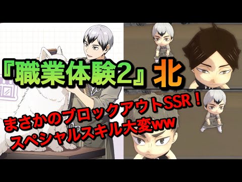 【ハイドリ】原作無視SSR追加！『職業体験2・北信介』性能評価＆引くべきか？【無課金/ハイキュー!!TOUCH THE DREAM】