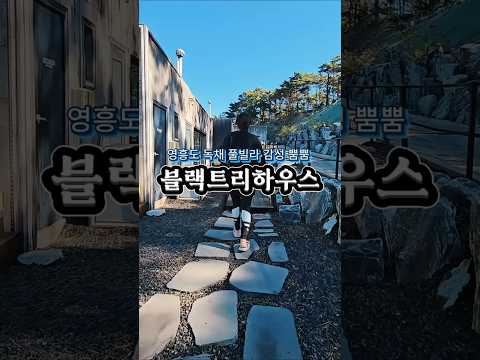 블랙트리편집