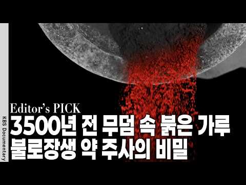 왜 인간은 핏빛 빨강에 집착할까? 영원히 죽지 않으려는 인류 가장 오래된 욕망 | KBS 대기획 20140117 방송