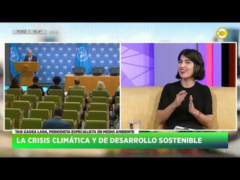 La crisis climática y de desarrollo sostenible - Tais Gadea Lara