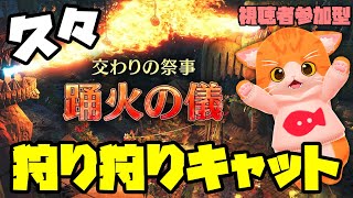 【🍖MHWilds🍖】久々過ぎて浦島さん【子猫VTuber😼🐾】HR200～
