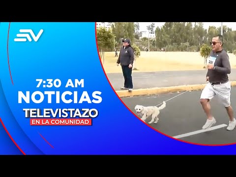 Tutores y mascotas recorrieron 3.7 km por el Perrotón en Sangolquí  | Televistazo | Ecuavisa