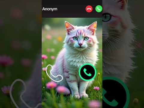Cat Calling 😮#ringtone #cat #gato #babygirl #youtubeshorts #catlovers #viralvideo #mi #shorts
