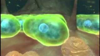The World Progress Report With Joan Lunden Highlights CreAgri's Hidrox - YouTube
