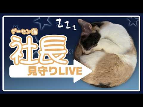 thumbnail_aD6EO_EPORA