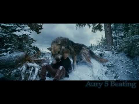 Twilight Wolves - Killer inside of me