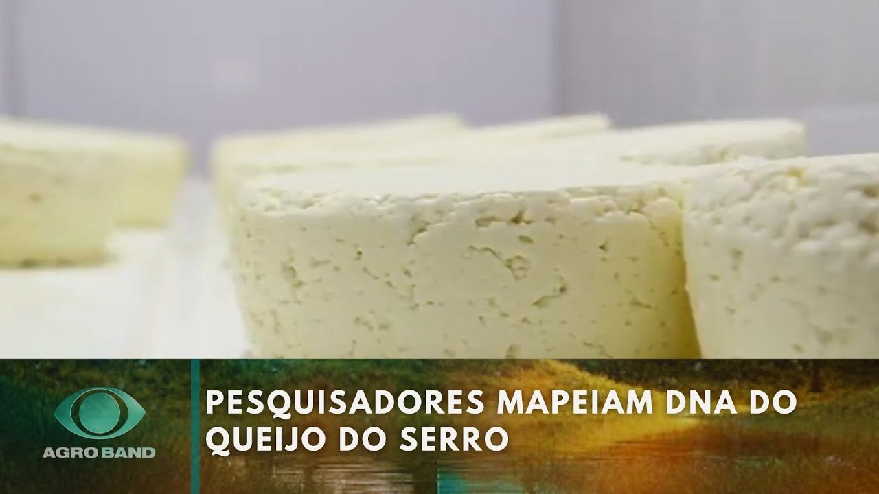 Giro Brasil: café na PB, queijo do serro, pastagem degradada