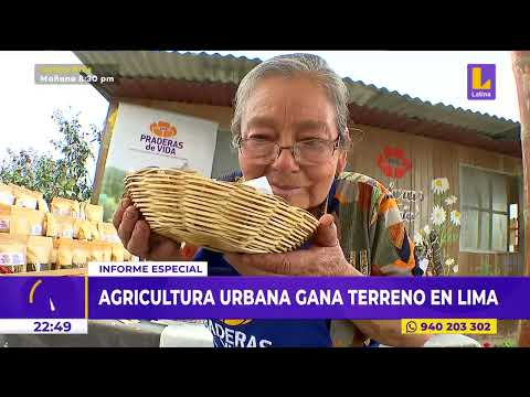Informe especial - Agricultura urbana genera impacto en Lima