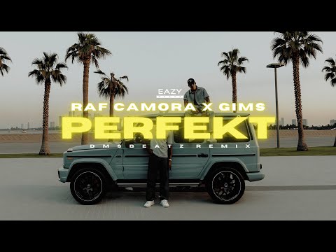 RAF Camora x GIMS – PERFEKT 🌴 (DMSBeatz Remix)