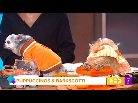 Homemade Puppuccinos &amp; Barkscotti