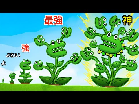 ハエトリ植物を育てすぎた結果がやばい...【 Venus Flytrap 】